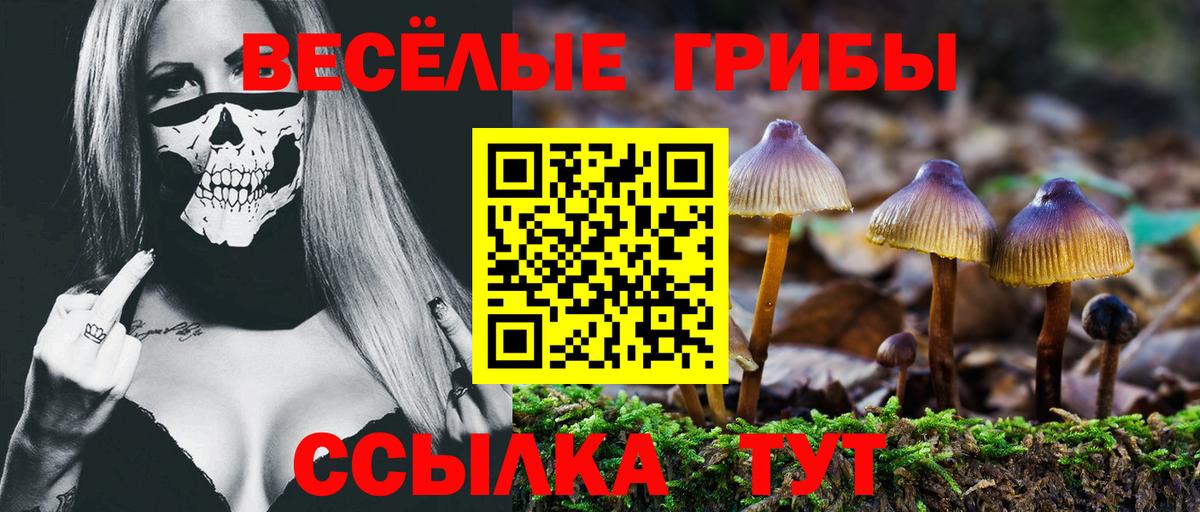 Галлюциногенные грибы Magic Shrooms Новороссийск