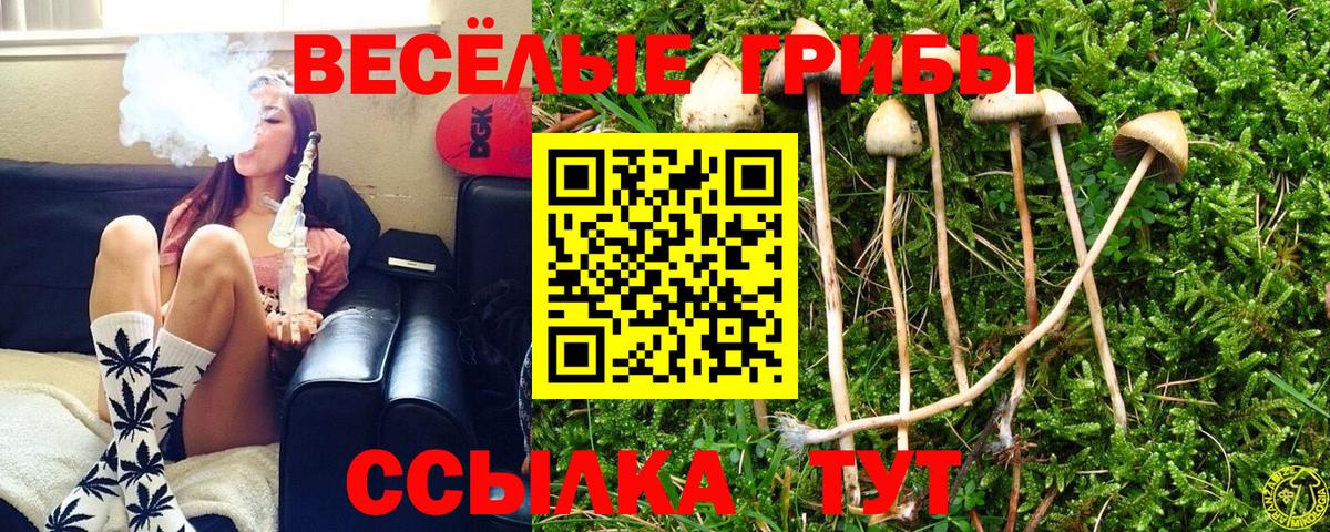 Псилоцибиновые грибы Psilocybine cubensis  Вход с VPN  где продают   Новороссийск  Галлюциногенные грибы MAGIC MUSHROOMS 